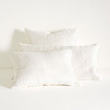 Viola Velvet Quilted Sham