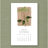 2026 Kelly Ventura Calendar