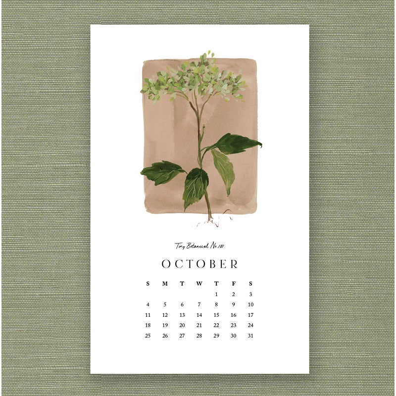 2026 Kelly Ventura Calendar