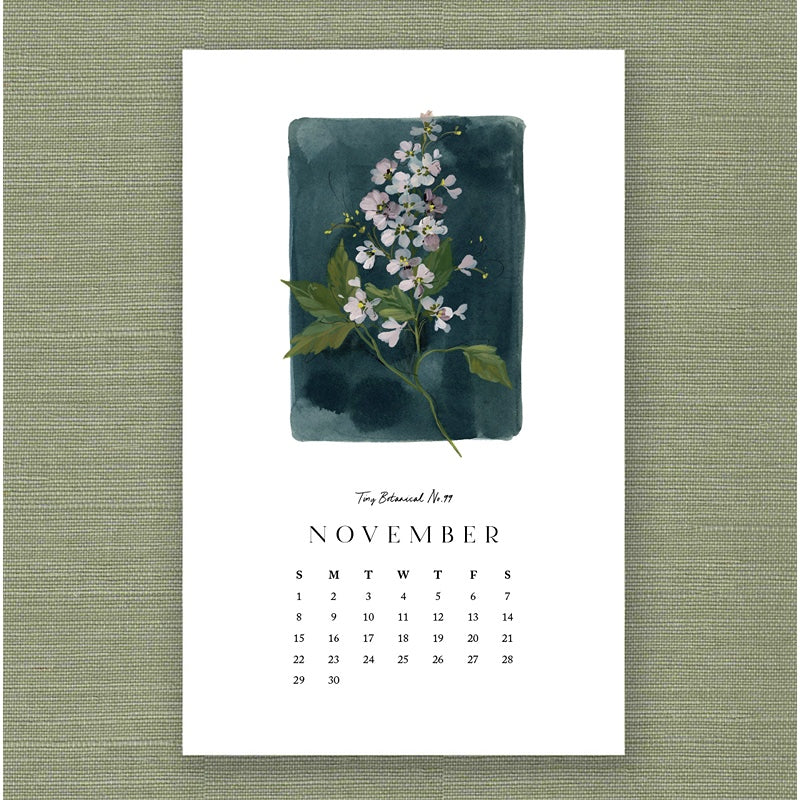 2026 Kelly Ventura Calendar