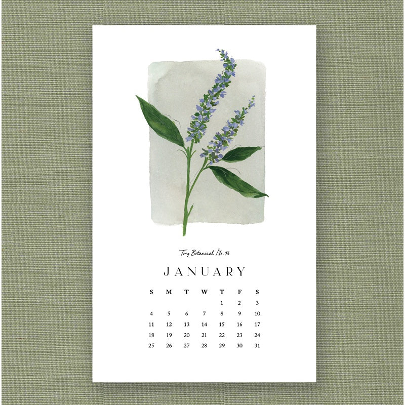 2026 Kelly Ventura Calendar