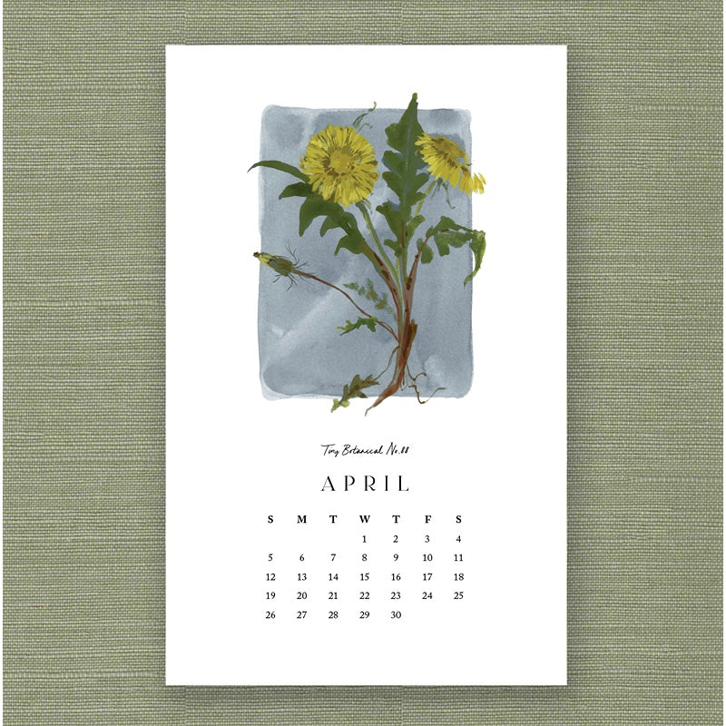 2026 Kelly Ventura Calendar