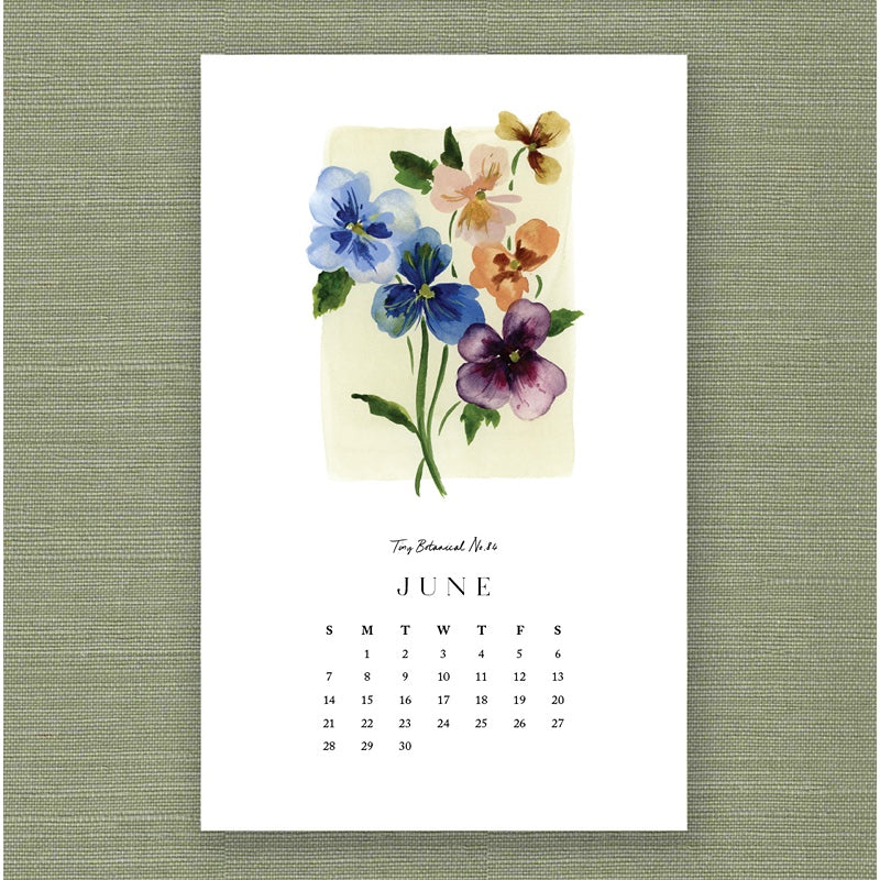 2026 Kelly Ventura Calendar