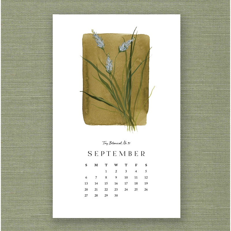 2026 Kelly Ventura Calendar
