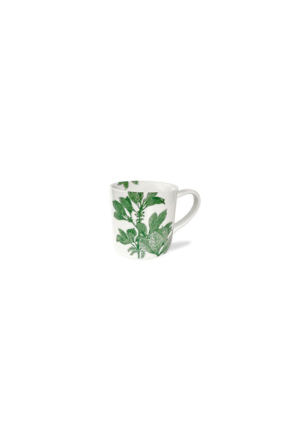 Arbor Mugs