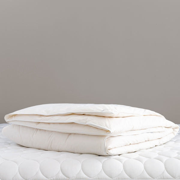 Chrysalis Duvet Insert