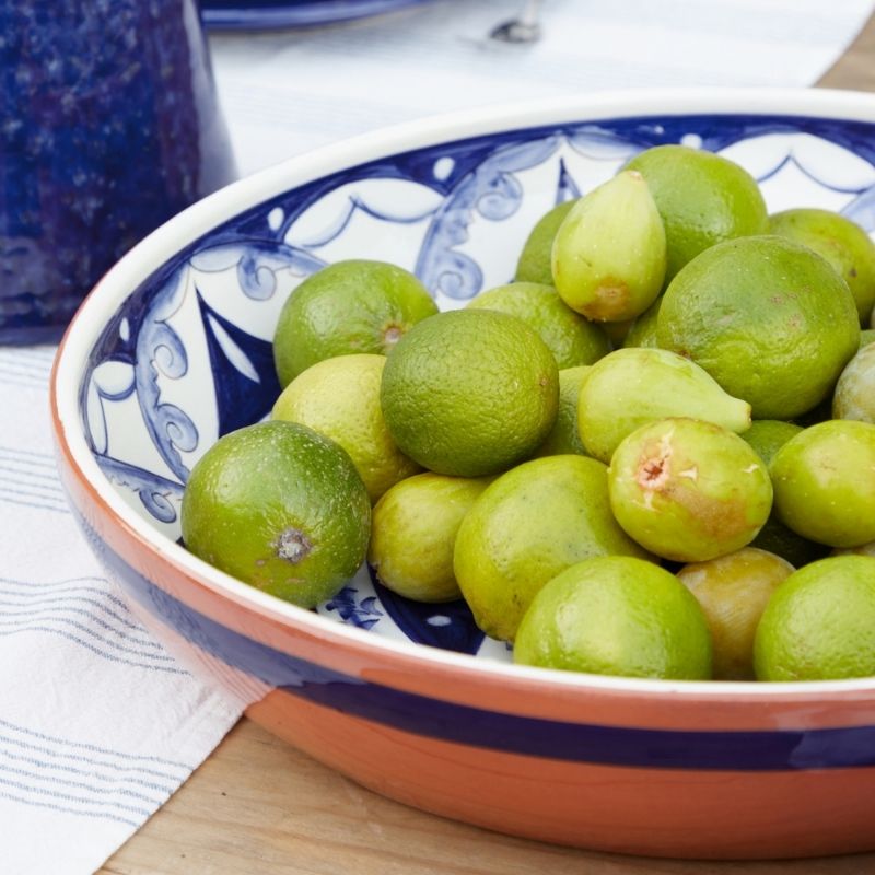 Alentejo Terracotta Pasta/Serving Bowl by Casafina