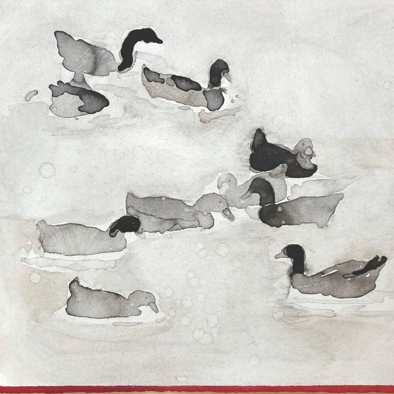 Ducks in a Row by Mary H Case Lifestyle 1